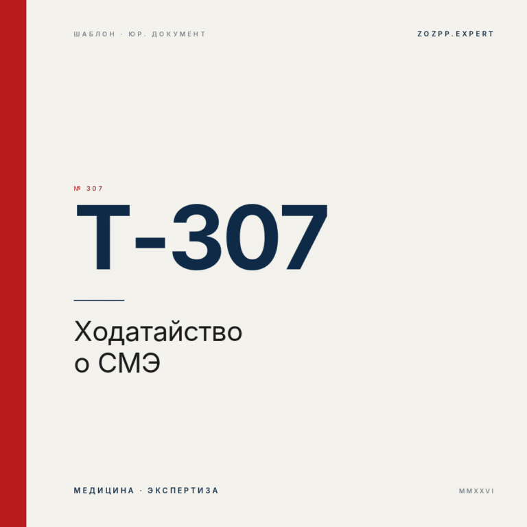 Ходатайство о назначении судебно-медицинской экспертизы — T-307